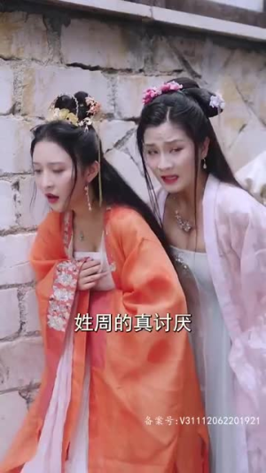 【大宋小郎君】92集精彩短剧全集免费看