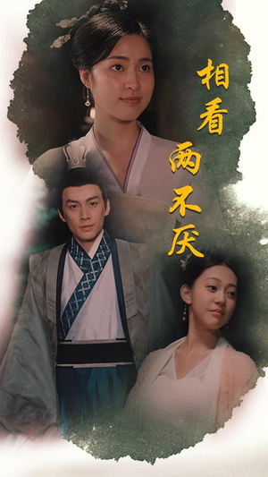 【这个王妃不好惹】85集短剧一口气看完