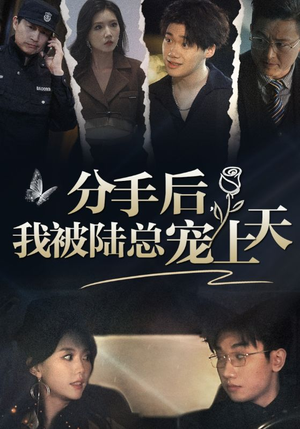 【分手后，我被陆总宠上天】76集短剧全集轻松看