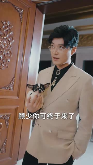【离婚当晚前妻脸被打肿了】60集短剧精彩片段抢先看