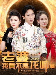 【老婆我真不是龙帅啊】95集短剧一口气看完不卡顿