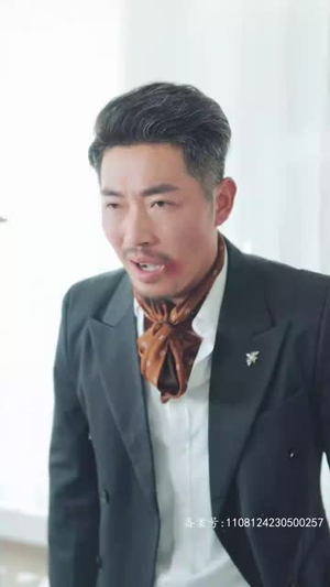 【不辞春色】96集短剧热播免费看全集