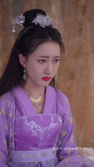 【王妃复仇记】70集精彩短剧在线看