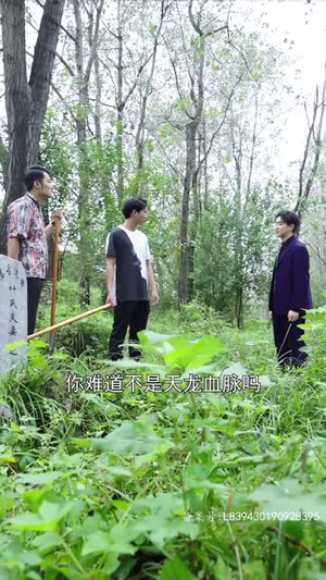 【战龙神尊】100集短剧全集一口气看完