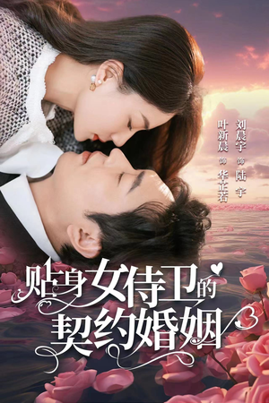 【贴身女侍卫的契约婚姻】91集短剧独家首播必看