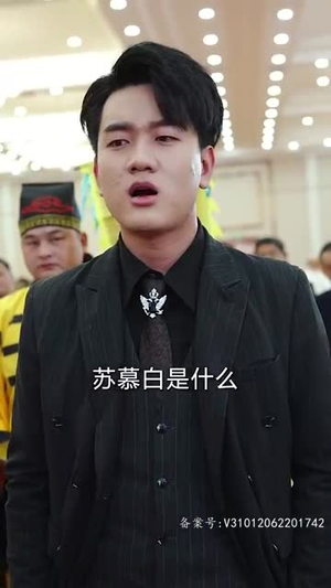 【踏雪】96集短剧全集免费看