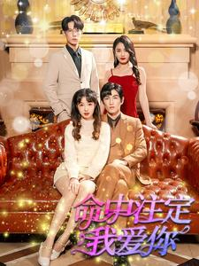 【命中注定我爱你】99集短剧高清观看不停