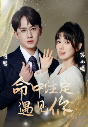 【命中注定遇见你】96集短剧流畅播放不卡顿