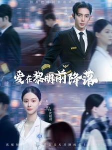 【爱在黎明前降落】107集短剧手机移动端畅看
