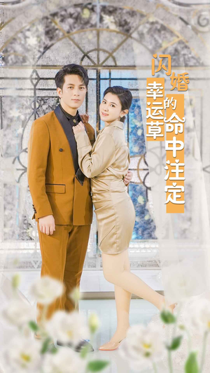 【闪婚幸运草的命中注定】82集短剧全集一次看过瘾