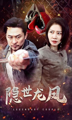 【隐世龙凤】63集精彩短剧在线看