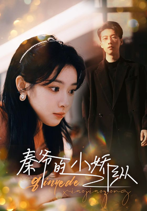 【秦爷的小娇纵】96集短剧全集高清流畅看不停