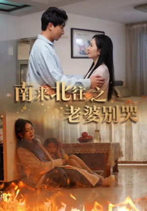 【南来北往之老婆别哭】87集高清短剧随时随地看