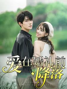 【爱在婚礼前降落】必看短剧50集连看