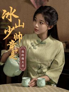 【冰山少帅竟是我的傻夫君】86集短剧热播中免费看