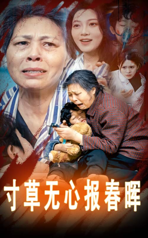 【孝子慈孙】31集短剧手机专享免费看