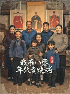 【穿越六零带着好运系统养全家】30集短剧精彩连看不停