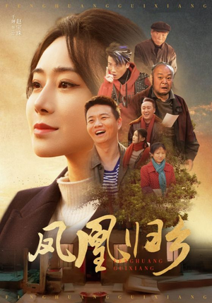 【凤凰归乡】33集高清短剧随心看