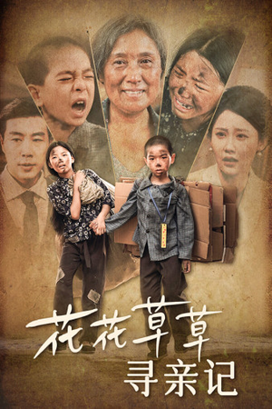 【花花草草寻亲记】42集温馨短剧在线观看
