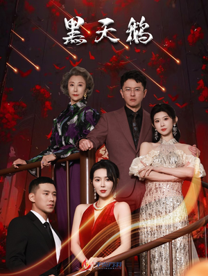 【黑天鹅】高清短剧51集一次性看过瘾