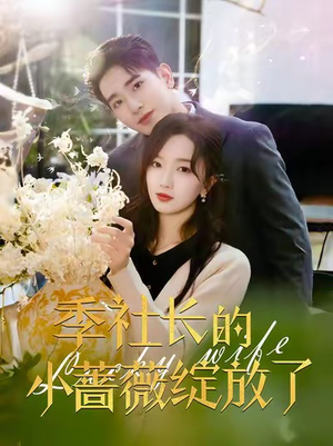 【季社长的小蔷薇绽放了】60集短剧高清在线观看