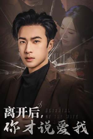 【离开后，你才说爱我】30集短剧高清流畅观看