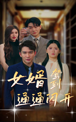 【女婿驾到，通通闪开】34集欢乐短剧不容错过看
