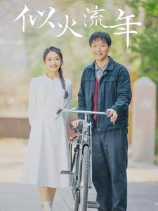 【似火流年】100集短剧手机在线观看，随时随地享受