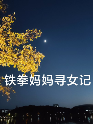 【铁拳妈妈寻女记】69集短剧连播，精彩剧情不容错过