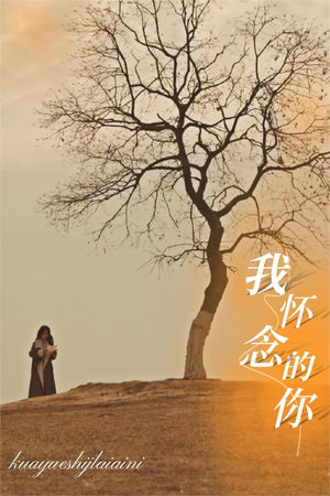 【我怀念的你】38集短剧全集免费看