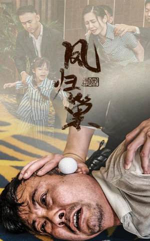 【新版：凤归巢】68集短剧独家完整版观看