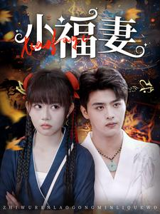 【小福妻】62集短剧全集免费看