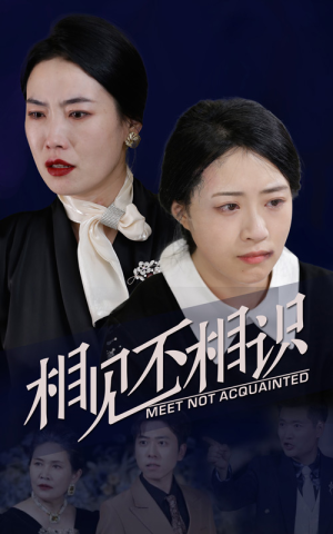 【相见不相识】34集短剧手机专享免费看