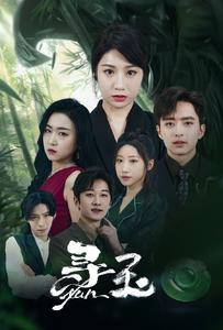 【寻玉】77集短剧全集观看无广告打扰
