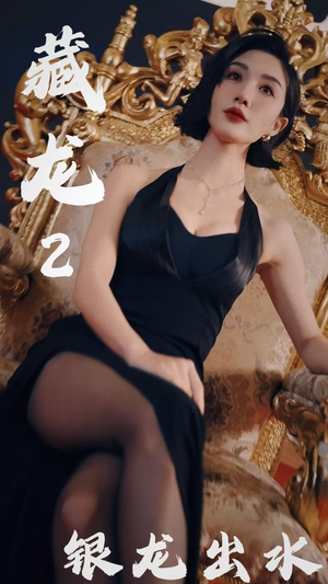 【藏龙2银龙出水】高清短剧35集，畅快观看不卡顿