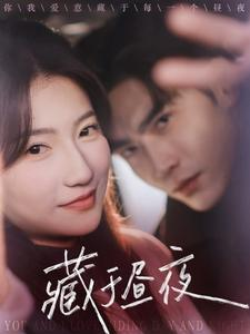 【藏于昼夜】68集短剧手机畅快看