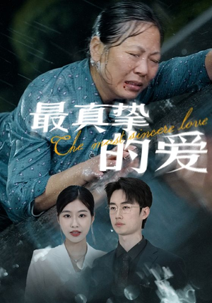 【最真挚的爱】76集短剧全集解锁随心观