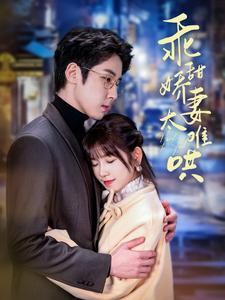 【乖甜娇妻太难哄】100集短剧全集无广告观看
