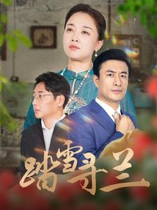 【踏雪寻兰】94集短剧手机便捷观看