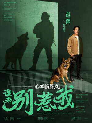 【心率临界点谁都别惹我】96集短剧独家高清观看