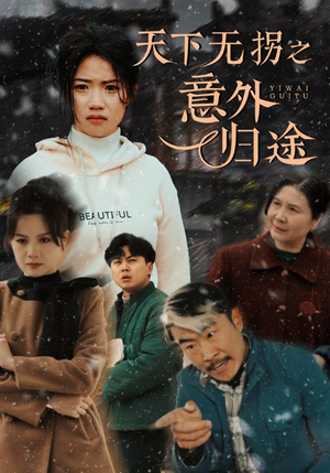 【天下无拐之意外归途】61集短剧全集畅快看