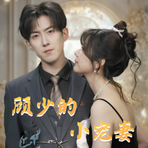 【顾少的小宠妻】90集短剧全集随心看