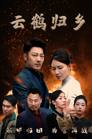 【云鹤归乡】65集精彩短剧在线观看