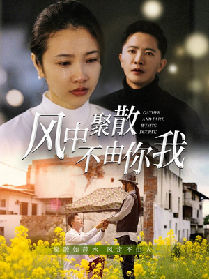 【风中聚散不由你我】41集热门短剧不容错过看