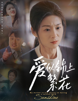 【爱似锦上繁花】60集高清短剧随心看
