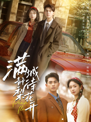 【满城静待梨花开】100集短剧高清畅快看