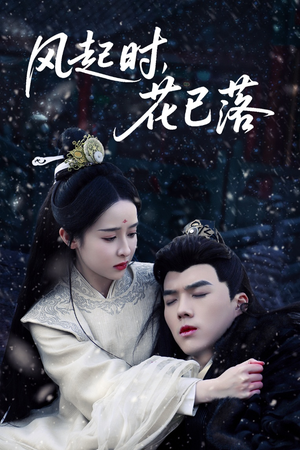 【风起时，花已落】49集精彩短剧在线看