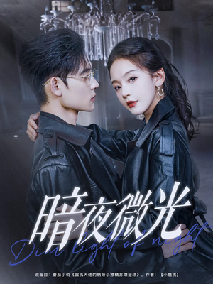 【暗夜微光】86集短剧热播中赶紧看
