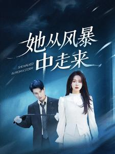 【她从风暴中走来】60集短剧高清流畅看