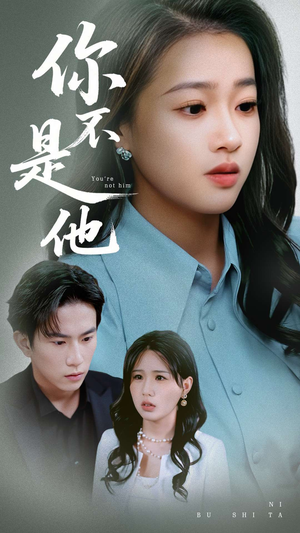 【你不是他】70集短剧手机随时看